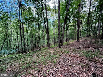 Lot 20 Wits End, Mathias, WV 26812 - photo 3