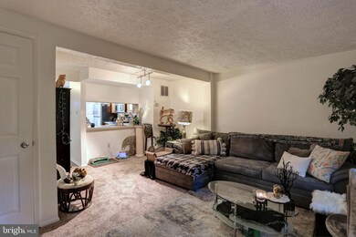 6019 Rowanberry Dr, Elkridge, MD 21075 - photo 6