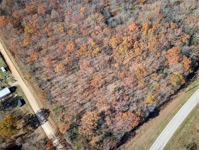 001 S Highway Aa N A, Stockton, MO 65785 - photo 4