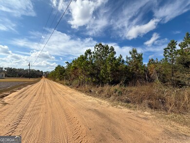 0 Herrington Rd, Baxley, GA 31513 - photo 4