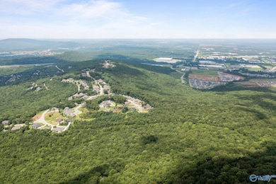 35.5 Acres Hawks Way NE, Huntsville, AL 35811 - photo 3
