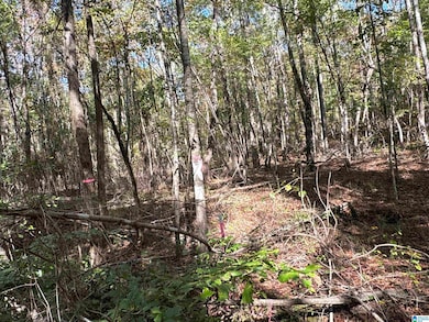 0 Bibb County 9 unit 21439274, West Blocton, AL 35184 - photo 3