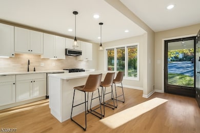 16 Minnisink Dr, Roseland, NJ 07068 - photo 3