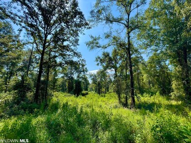 0 Albert Evans Rd unit 335684, Wilmer, AL 36587 - photo 2