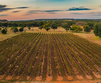 50 Maverick Ln, Fredericksburg, TX 78624 - photo 3