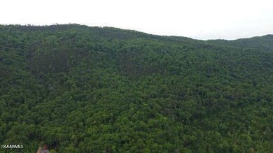 0 Lea Lakes Rd unit 1220944, Blaine, TN 37709 - photo 7