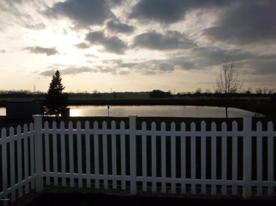 View of pond from patio
