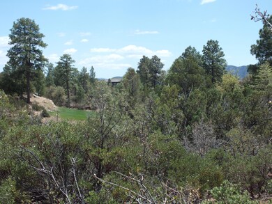 1005 N Indian Paintbrush Circle
