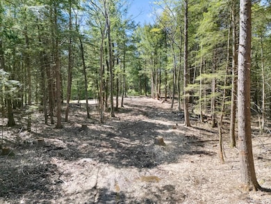 0 Old Ledge Rd unit 4950217, Westminster, VT 05346 - photo 2