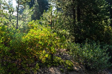 Crescent Lake Lot-11