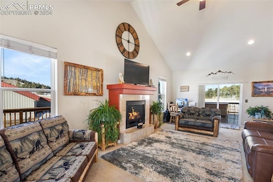 35 Arrowhead Ln, Florissant, CO 80816 - photo 5