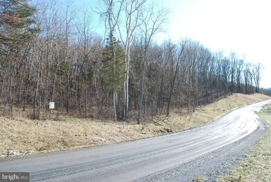 3 Timberland Manor Dr, Bentonville, VA 22610 - photo 5