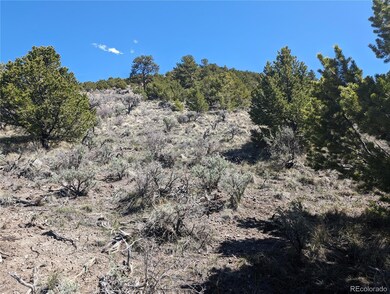 Lot 4425 Clausen Rd, Fort Garland, CO 81113 - photo 7