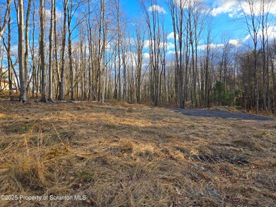 0 Sr 29n unit GSBSC256186, Tunkhannock, PA 18657 - photo 3