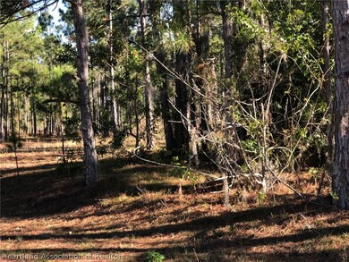 651 Concert Dr, Lake Placid, FL 33852 - photo 5