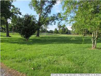 View of front yard