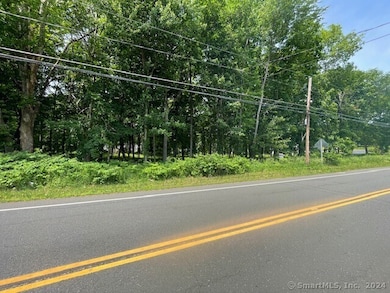 369 Turnpike Rd, Somers, CT 06071 - photo 4