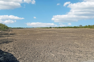 11735 Obrien Rd, Atascosa, TX 78002 - photo 5