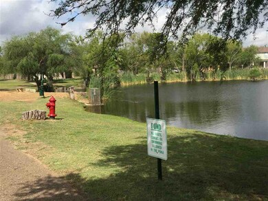 117 Mourning Dove Ct, Laredo, TX 78045 - photo 7