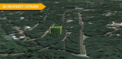 Crane Pr 4738, Jefferson, TX 75657 - photo 2