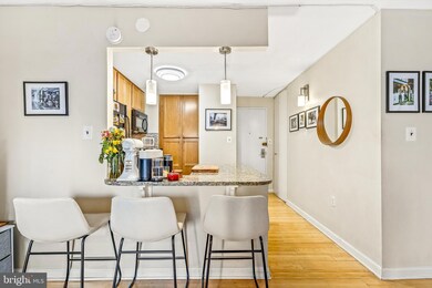 Webster House unit 509, Washington, DC 20036 - photo 2