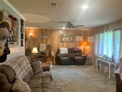 4112 County Road 461a, Brazoria, TX 77422 - photo 3