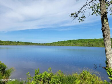 120 Outlet Rd, Dingmans Ferry, PA 18328 - photo 3