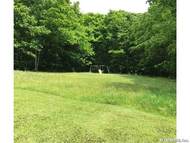 Backyard.