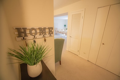 4050 Dundee Rd unit 203K, Northbrook, IL 60062 - photo 6