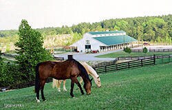 McHills Horse Barn