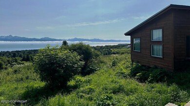 Homer Spit View