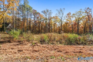 234 Brentwood Ln, Madison, AL 35758 - photo 5