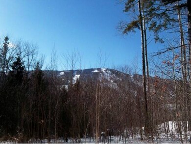 B Pinnacle View Dr unit B, Dover, VT 05356 - photo 3