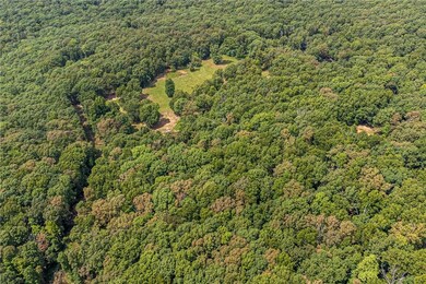 16507 Carpenter Rd, Winslow, AR 72959 - photo 7