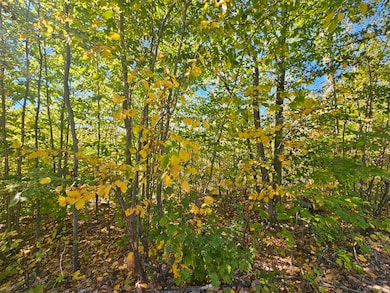 059-007 Soper's Mill Rd, Auburn, ME 04210 - photo 5