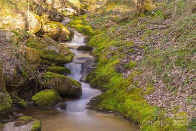 00 Buff Creek Rd, Sylva, NC 28779 - photo 6