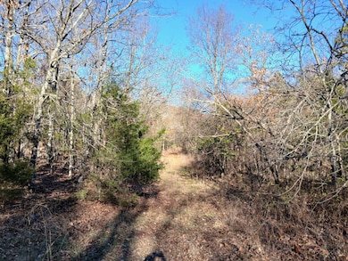 440499 E 1627 Rd, Tuskahoma, OK 74574 - photo 5