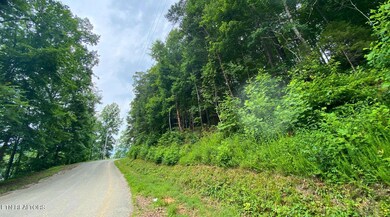 0 Cove Pointe Rd unit 1305790, Lafollette, TN 37766 - photo 6