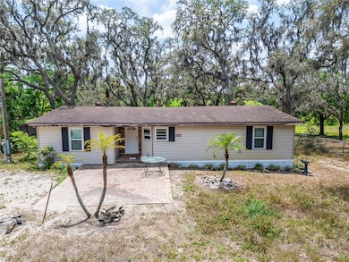 13907 Raulerson Rd unit Parcel A, Riverview, FL 33569 - photo 3