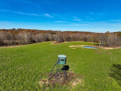 Illinois Route 1 unit LotWP001, Cave In Rock, IL 62919 - photo 6