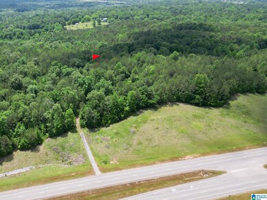 0 Highway 82 unit 1 21385129, Centreville, AL 35042 - photo 3