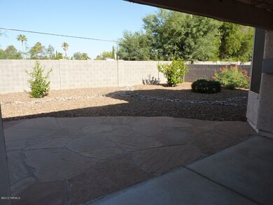 backyard1