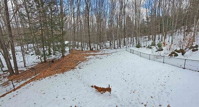 113 Pondview Rd, Weare, NH 03281 - photo 3
