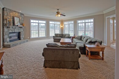 21800 Iannis Spring Dr, Ashburn, VA 20148 - photo 7