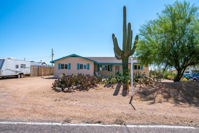Iconic Saguaro in Front Yard