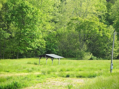 50 Wine Ln, West Union, WV 26456 - photo 4