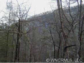 Another Bald Mountain View