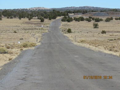 9 Junipetrwood Ranch, Ash Fork, AZ 86320 - photo 4