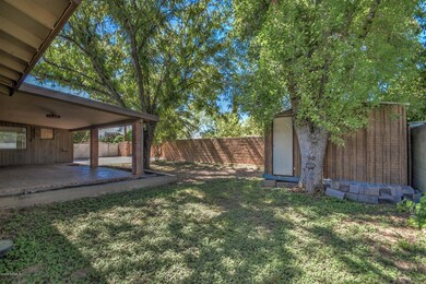 Back Yard and Large Storage Shed