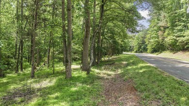 2624 Old Graham Rd, Pittsboro, NC 27312 - photo 4